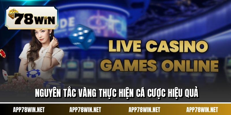 Nguyên tắc vàng thực hiện cá cược hiệu quả